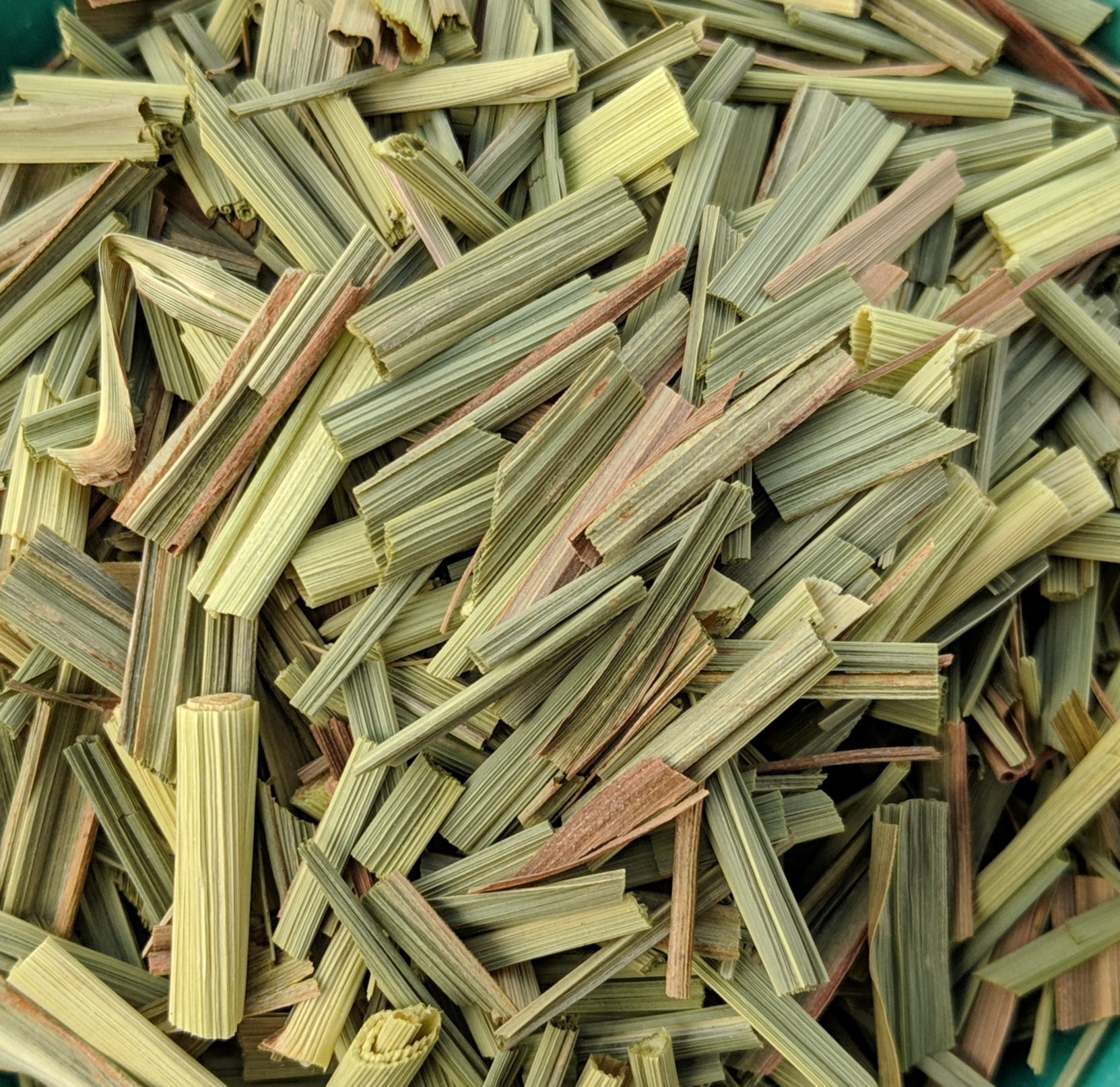 Citronnelle crétoise (Cymbopogon Citratus) | Feuilles ou poudre | Notre culture biodynamique