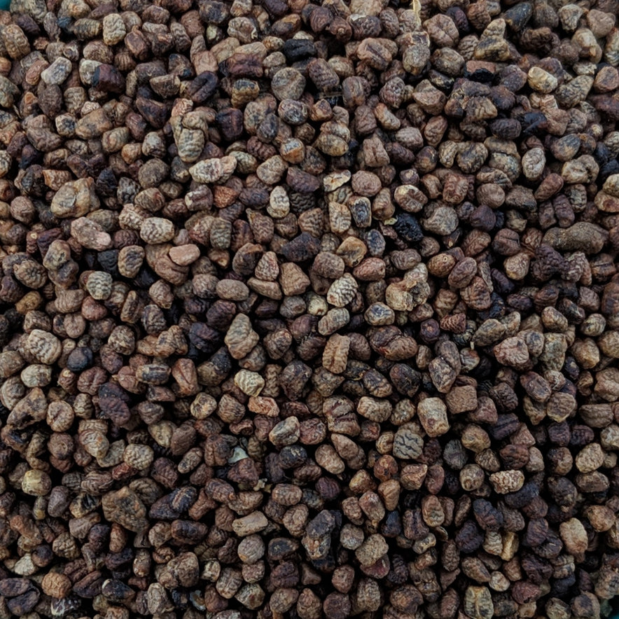 Image for Cardamom Seeds (Elettaria Cardamomum)