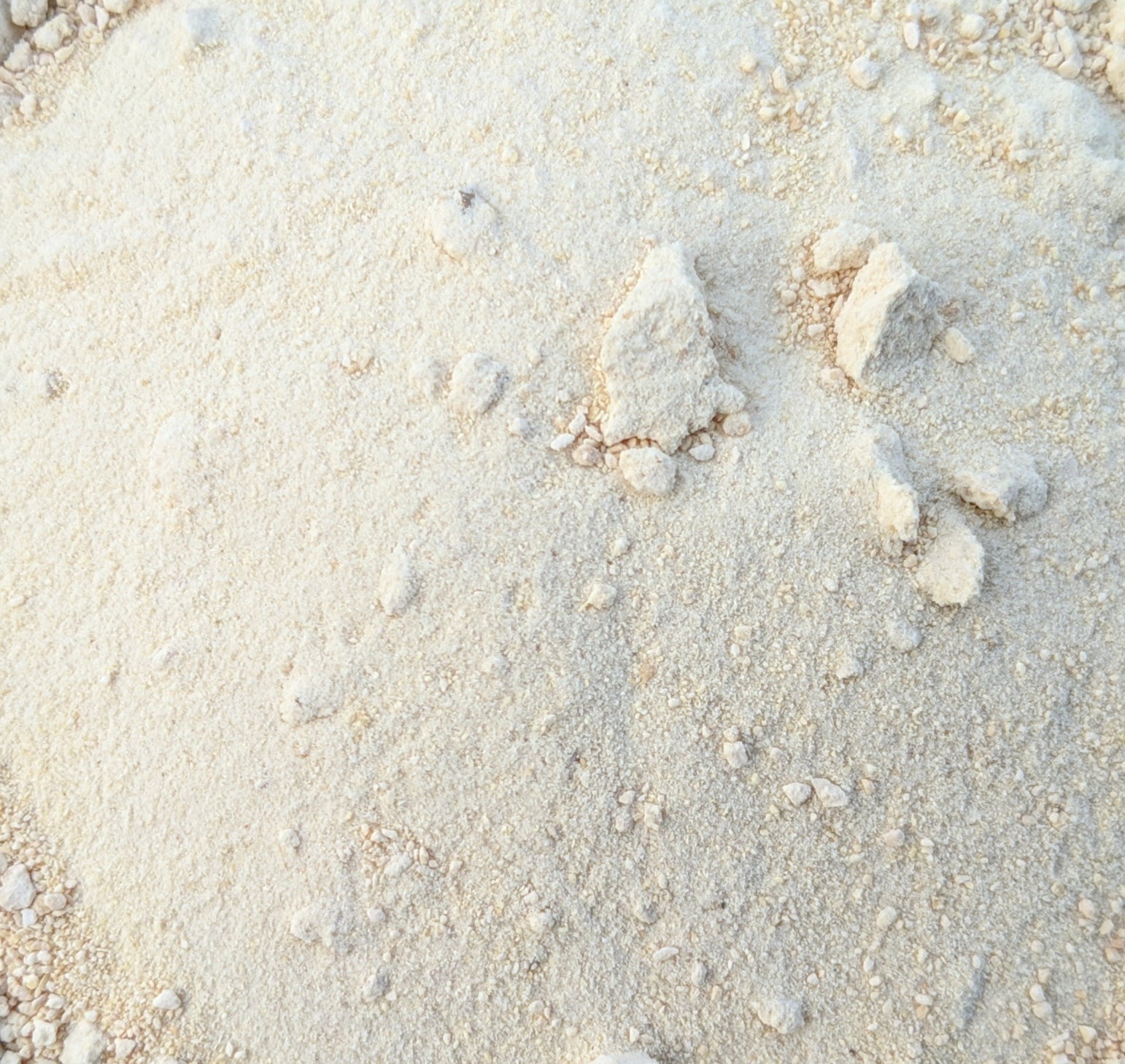 Poudre de raifort (Armoracia Rusticana)