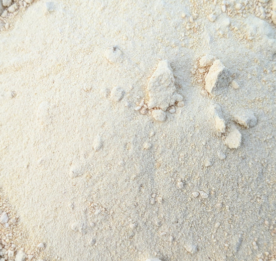 Poudre de raifort (Armoracia Rusticana)