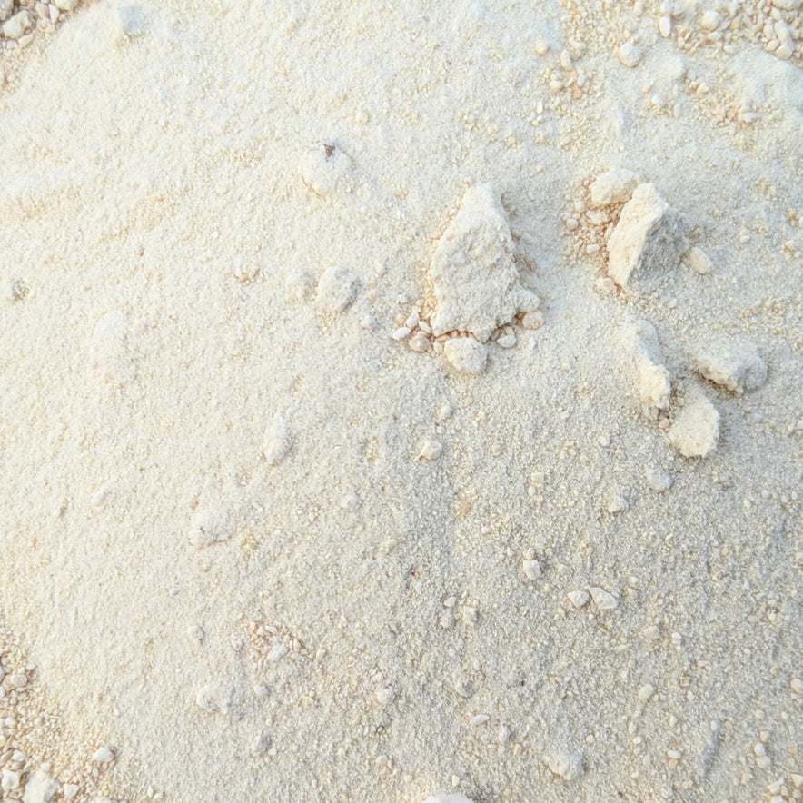 Image for Horseradish Powder (Armoracia Rusticana)