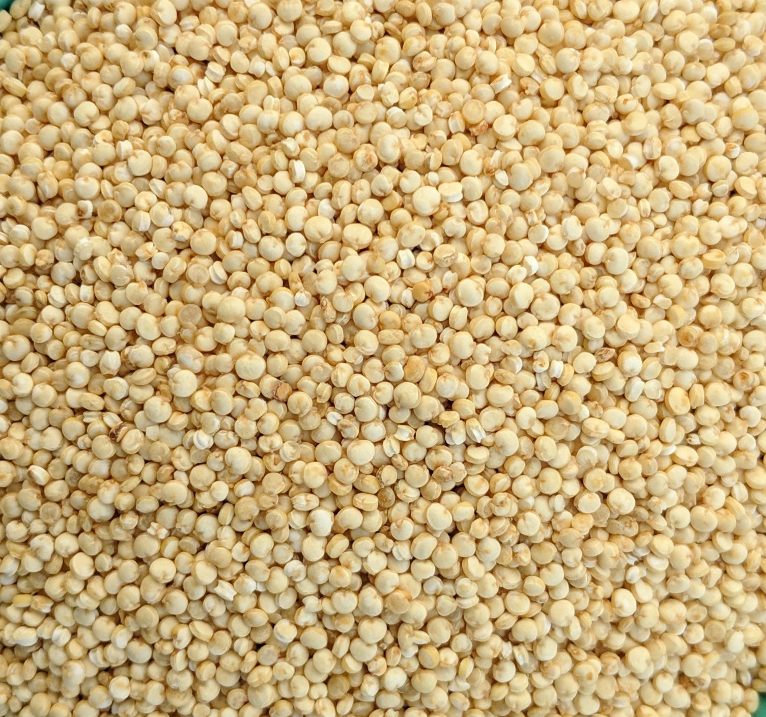 Quinoa Bio