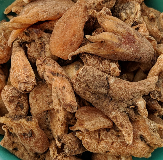 Salep / Sahlep Root / Bulb (Orchis Mascula)