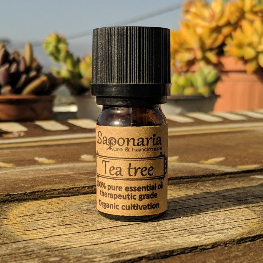 Image for Αιθέριο Έλαιο Tεϊόδεντρο από την SAPONARIA (5ml)