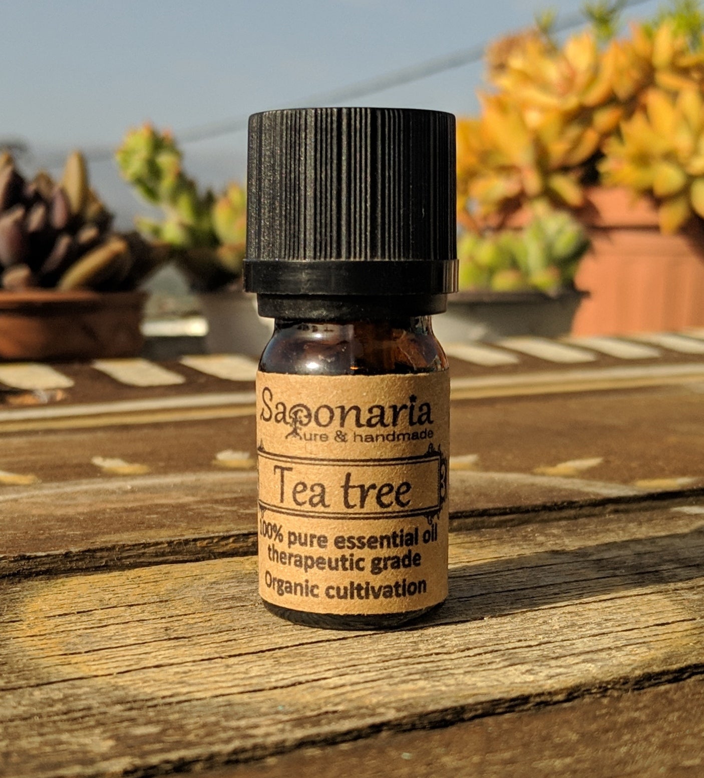 <transcy>Αιθέριο Έλαιο Tεϊόδεντρο από την SAPONARIA (5ml)</transcy>