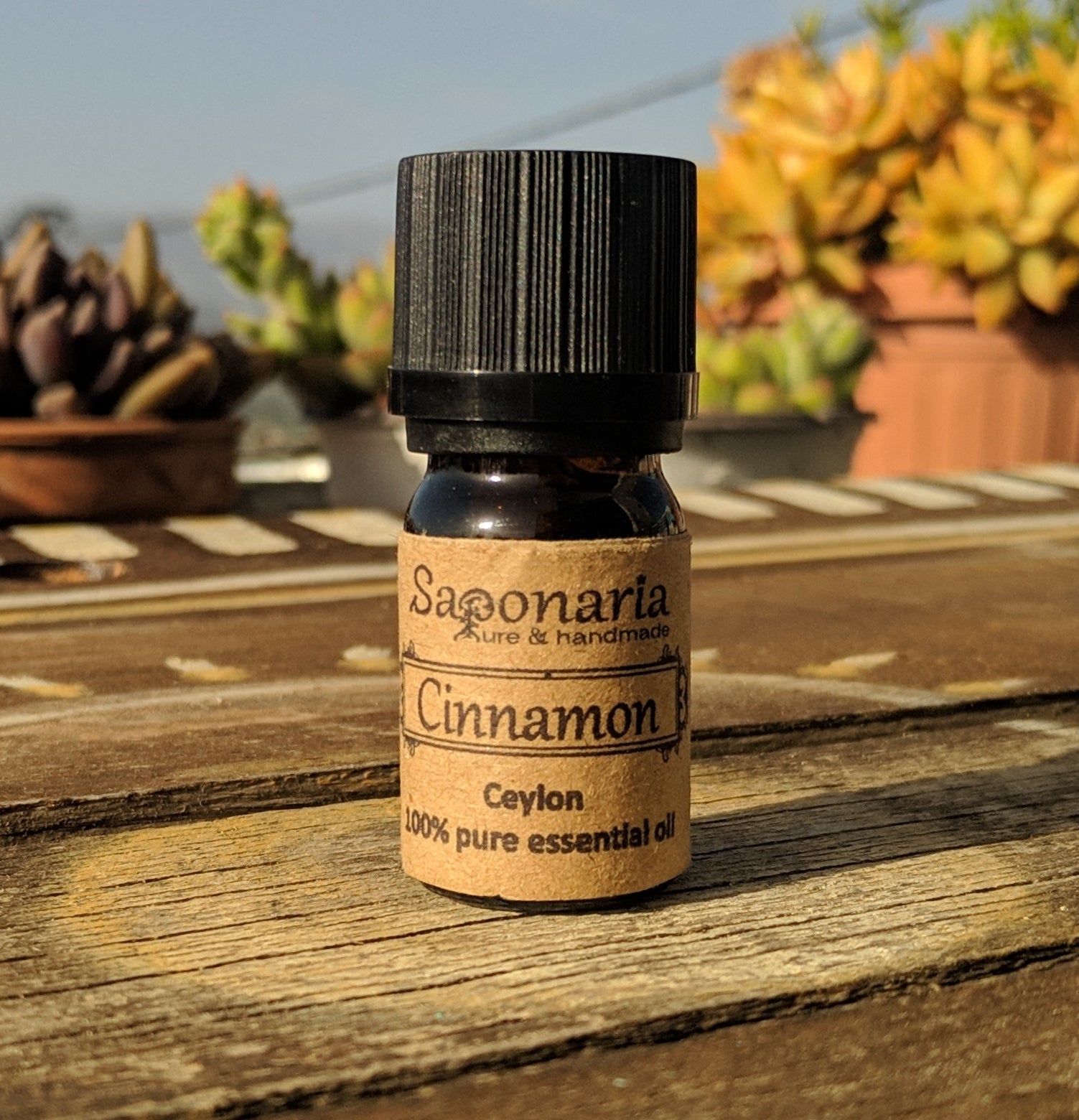 Cinnamon (Ceylon) Essential Oil