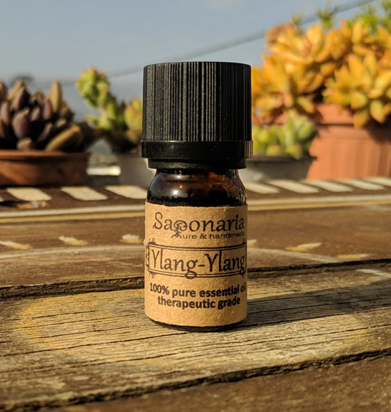 <transcy>Αιθέριο Έλαιο Ιλάνγκ Ιλάνγκ από την SAPONARIA (5ml)</transcy>