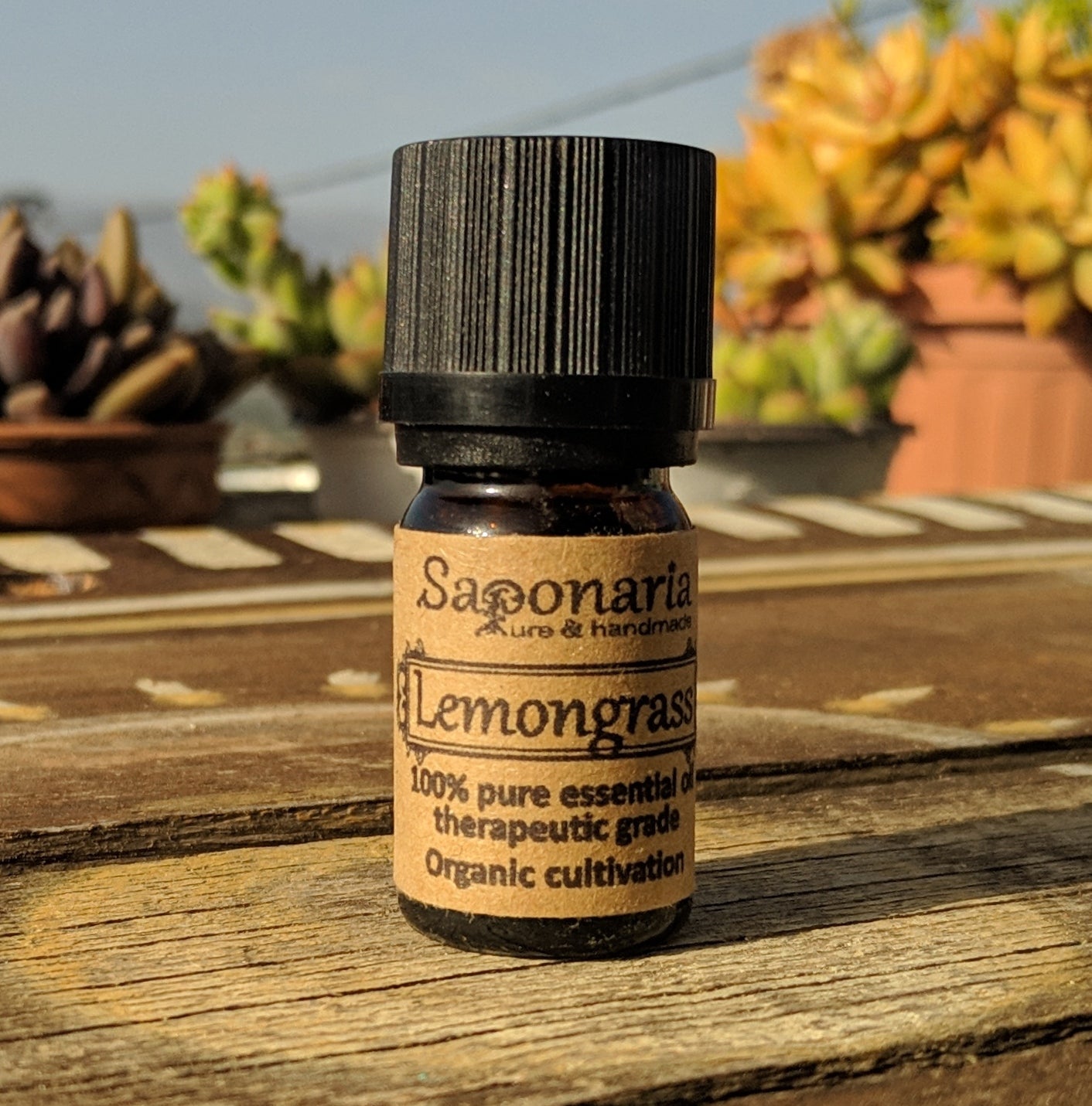 <transcy>Αιθέριο Έλαιο Λεμονόχορτο από την SAPONARIA (5ml)</transcy>