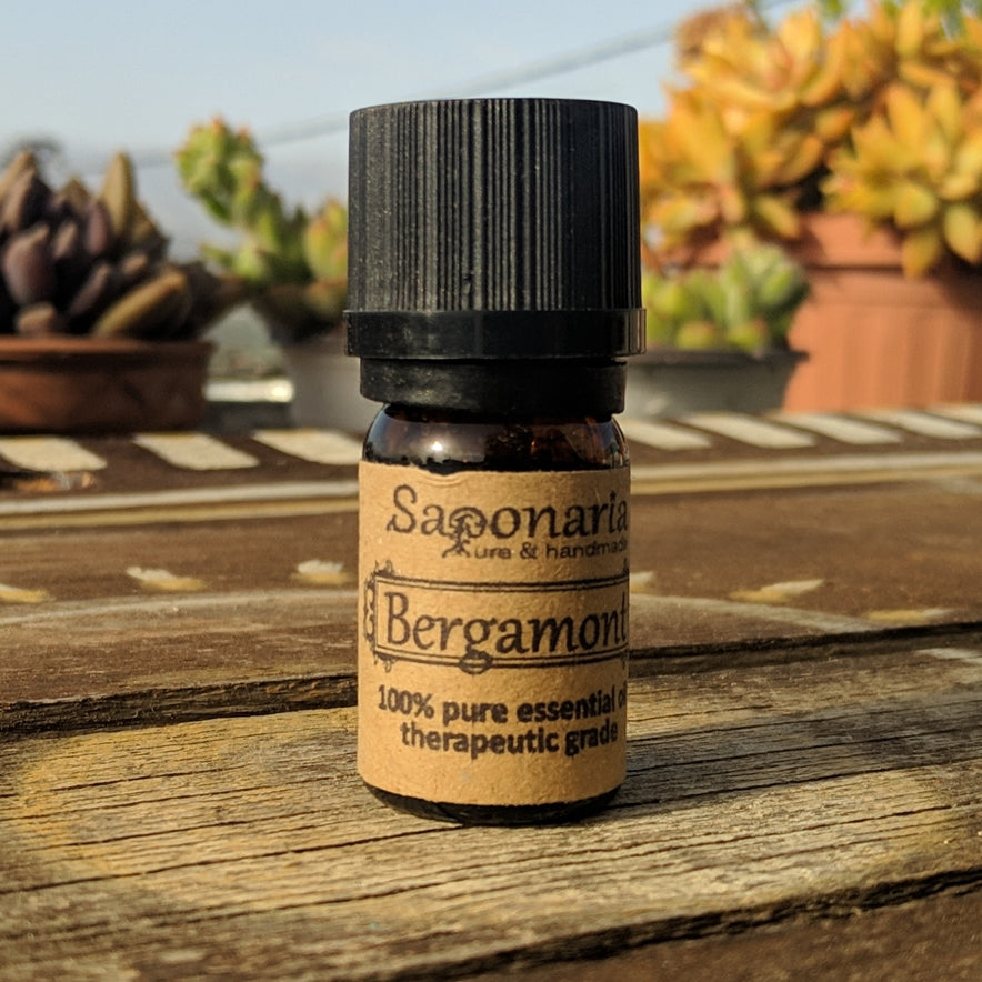Image for Bergamont Essential Oil