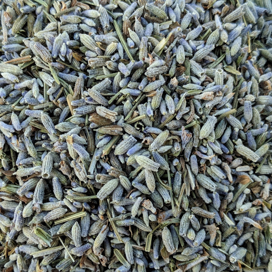 Image for Lavender (Lavandula Officinalis) - Organic