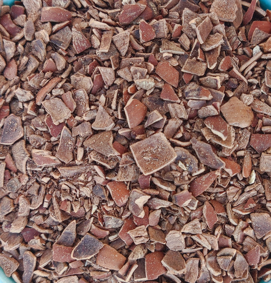 Taxolin-Tee (Corylus Avellana)