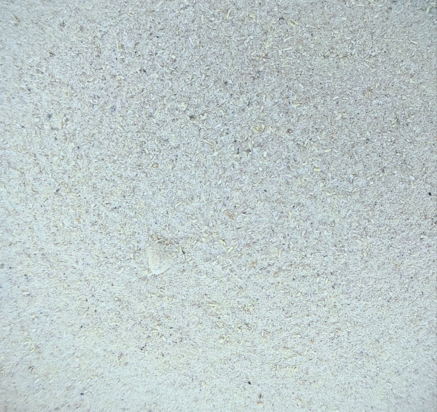 <transcy>Βιολογικό Σαταβάρι σε Σκόνη (Asparagus Racemosus)</transcy>