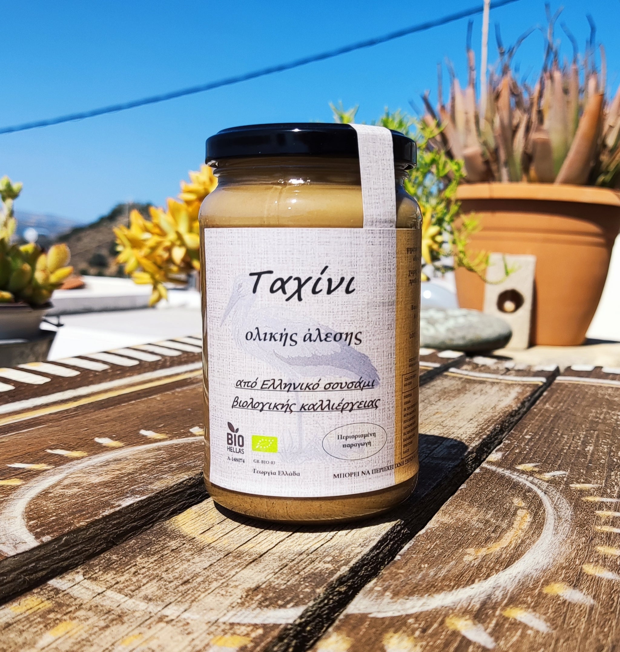 <transcy>Βιολογικό Ταχίνι Ολικής Αλέσεως (370γρ) *Ψυχρής Έκθλιψης*</transcy>