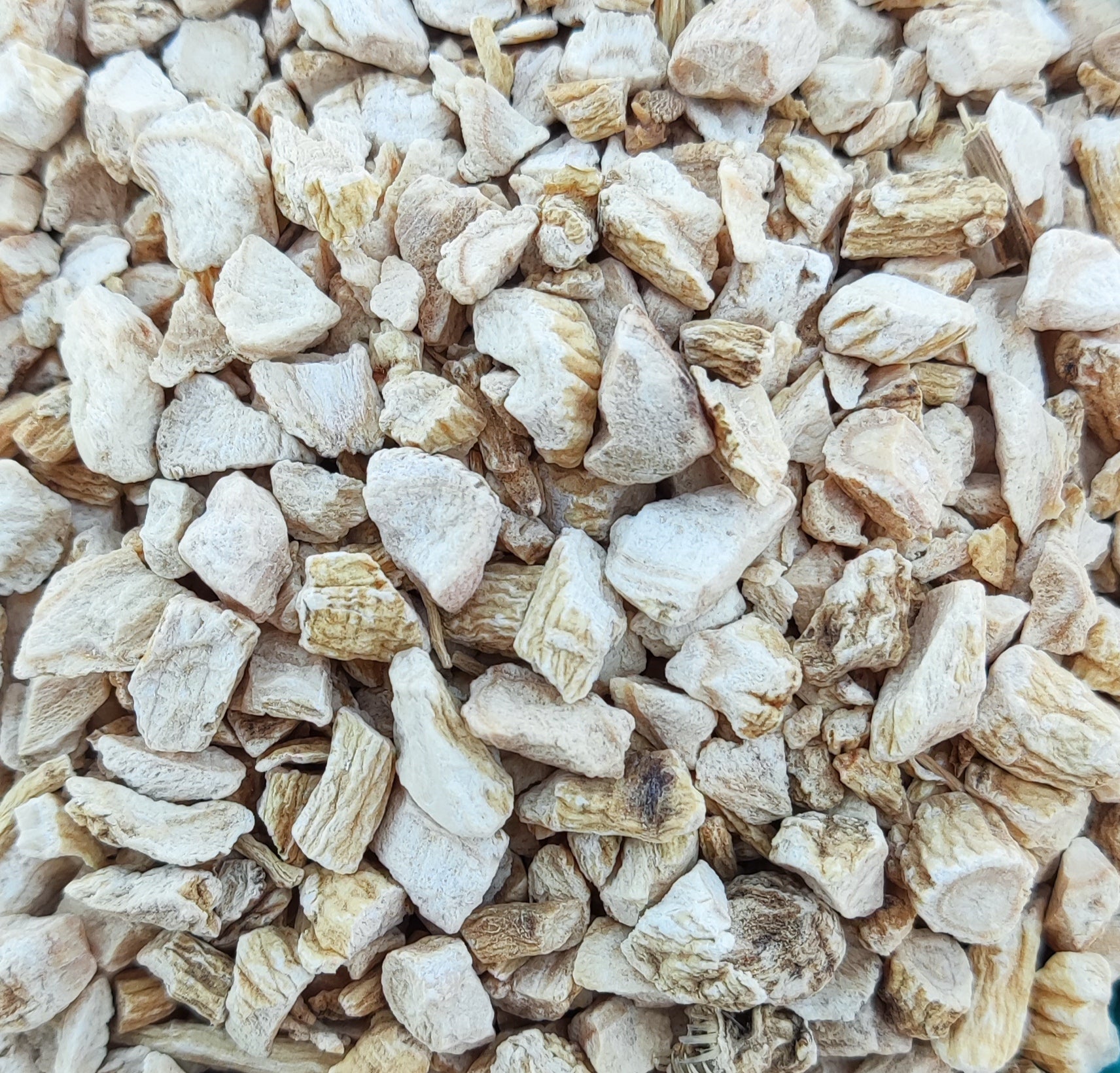 <transcy>Κινέζικο Τζίνσενγκ Ρίζα (Panax Ginseng)</transcy>