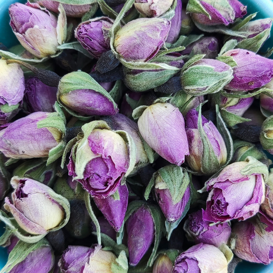 Image for <tc>Boutons de Roses biologiques</tc>