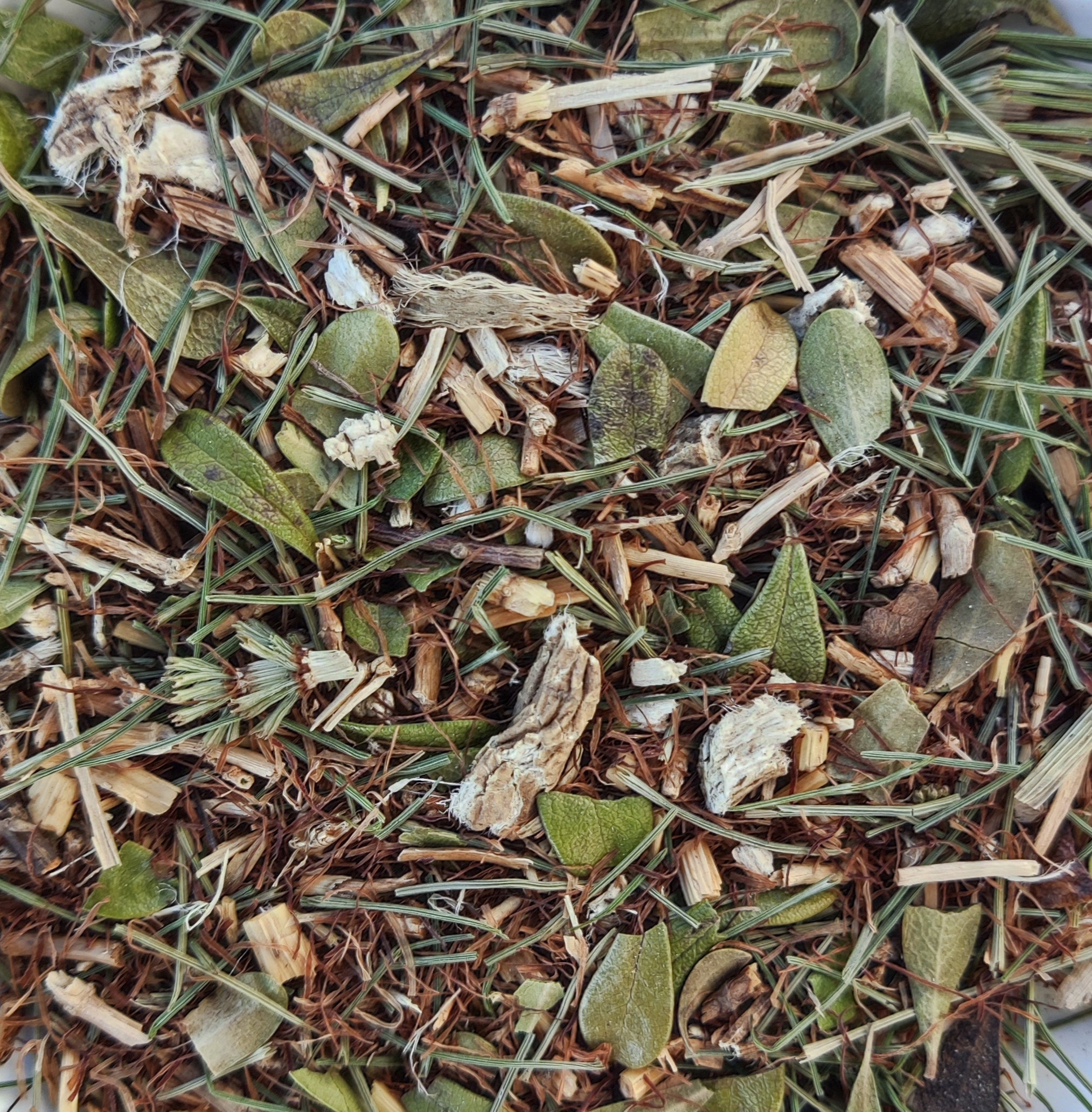 <transcy>Μείγμα Βοτάνων «Ουρολοίμωξη»</transcy>