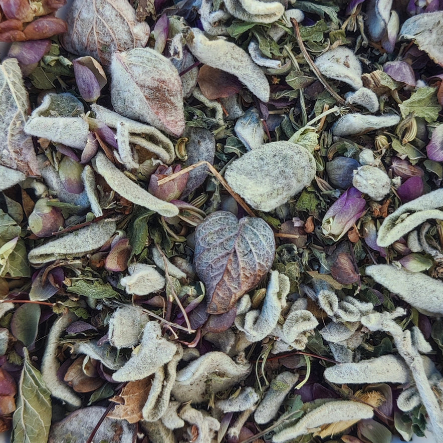 Image for Mélange de plantes 