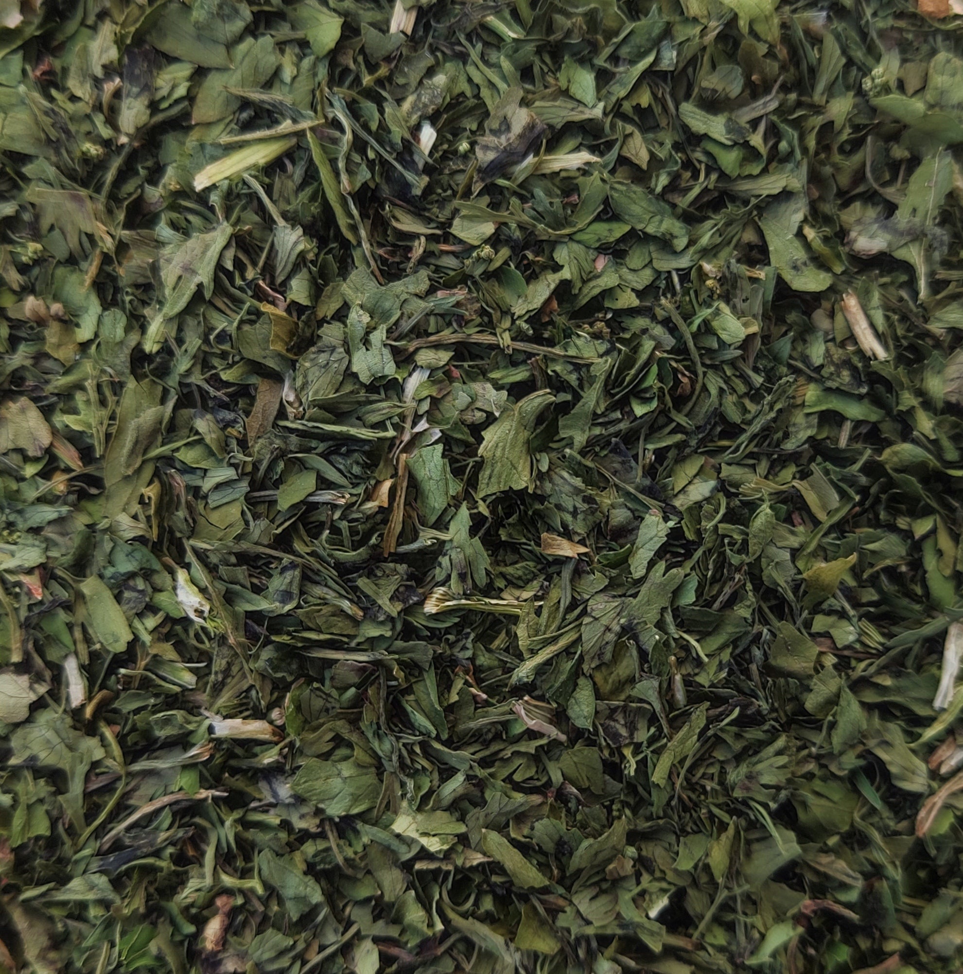 <transcy>Κόλιανδρος Φύλλα</transcy>