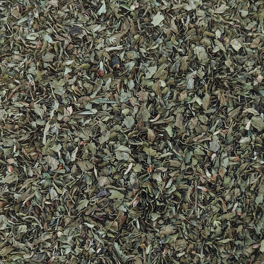 Image for Livèche (Levisticum Officinale)