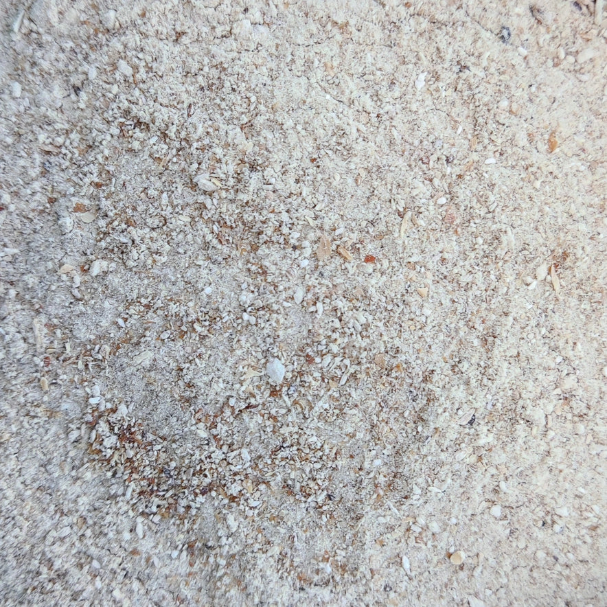 Image for Oyster Mushroom Powder (Pleurotus Ostreatus)