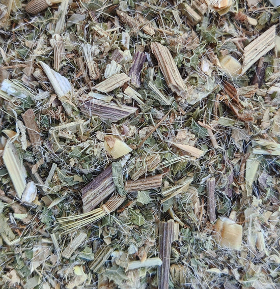 Gesegnete Distel (Cnicus Benedictus)