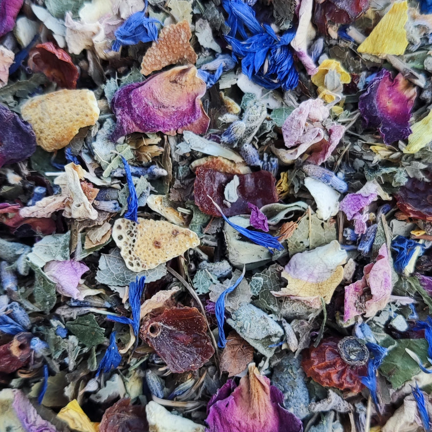 Image for Mélange de plantes 