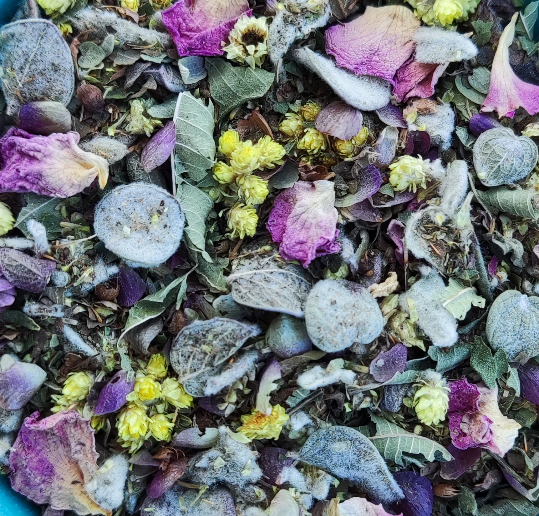 "Cretan Blend" Herbal Mix | Organic