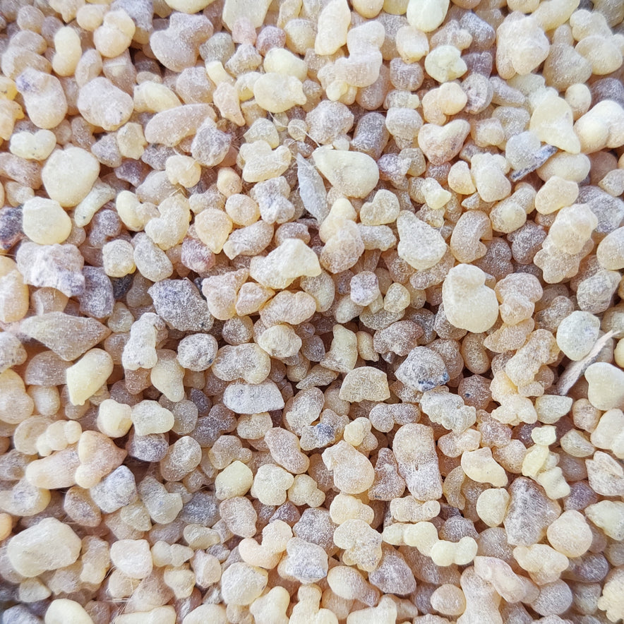 Image for Frankincense Resin (Boswellia Papyrifera)