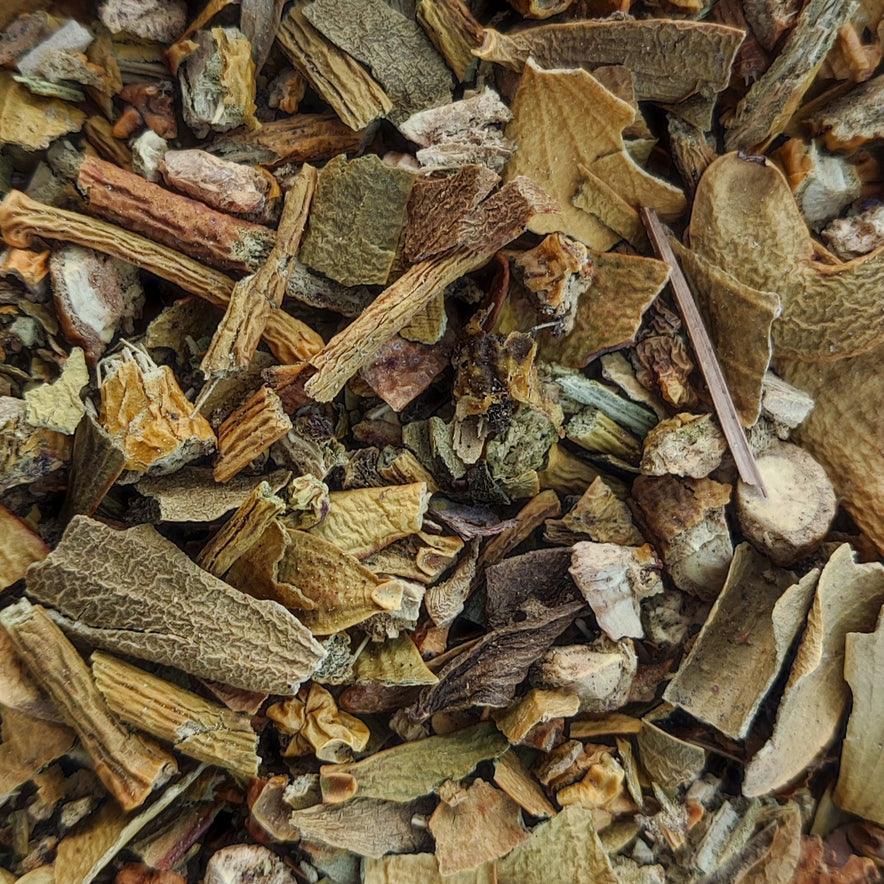 Image for Mistel (Viscum Album)