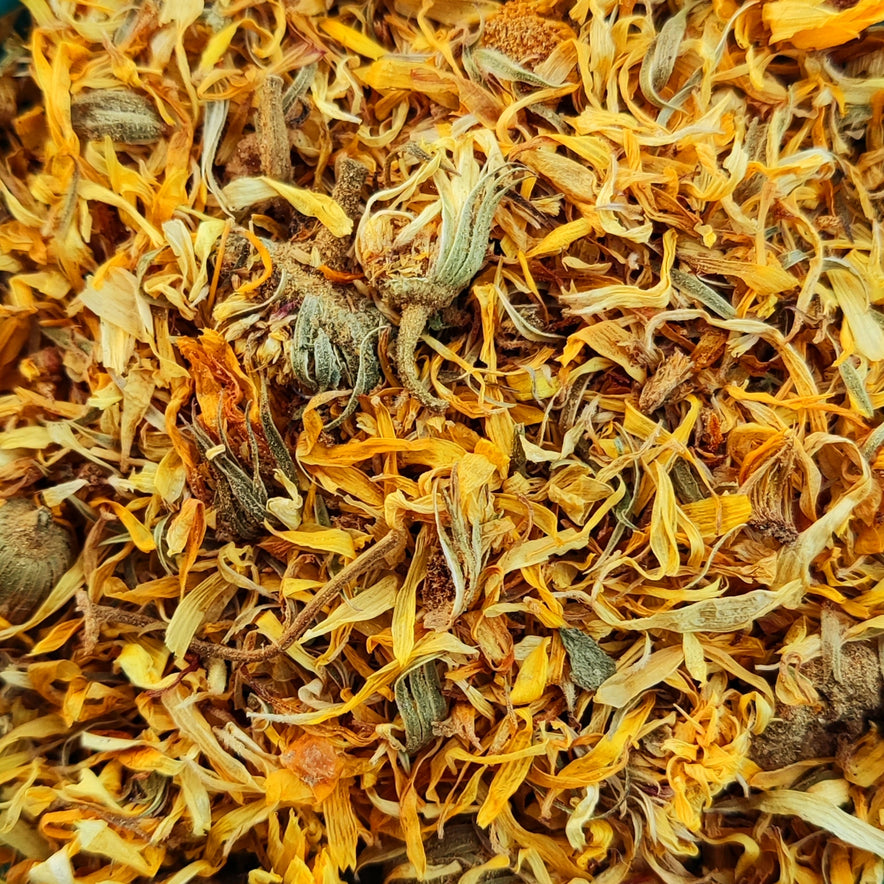 Image for Souci (Calendula Officinalis)