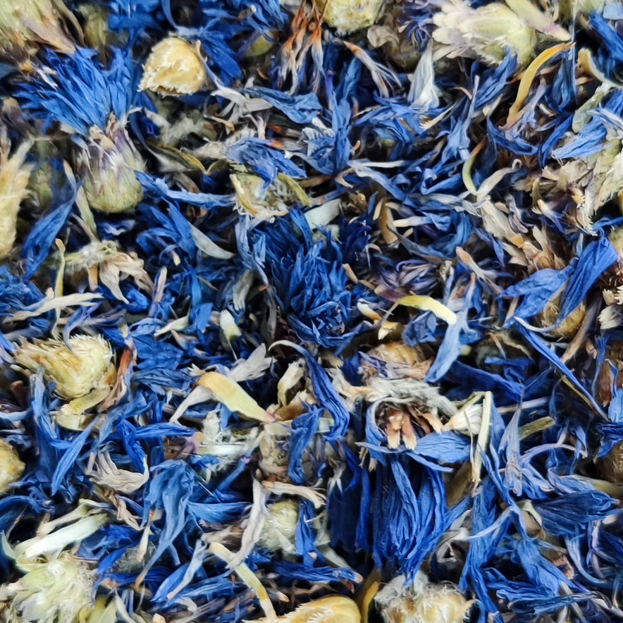 Image for Blaue Kornblume (Centaurea Cyanus)