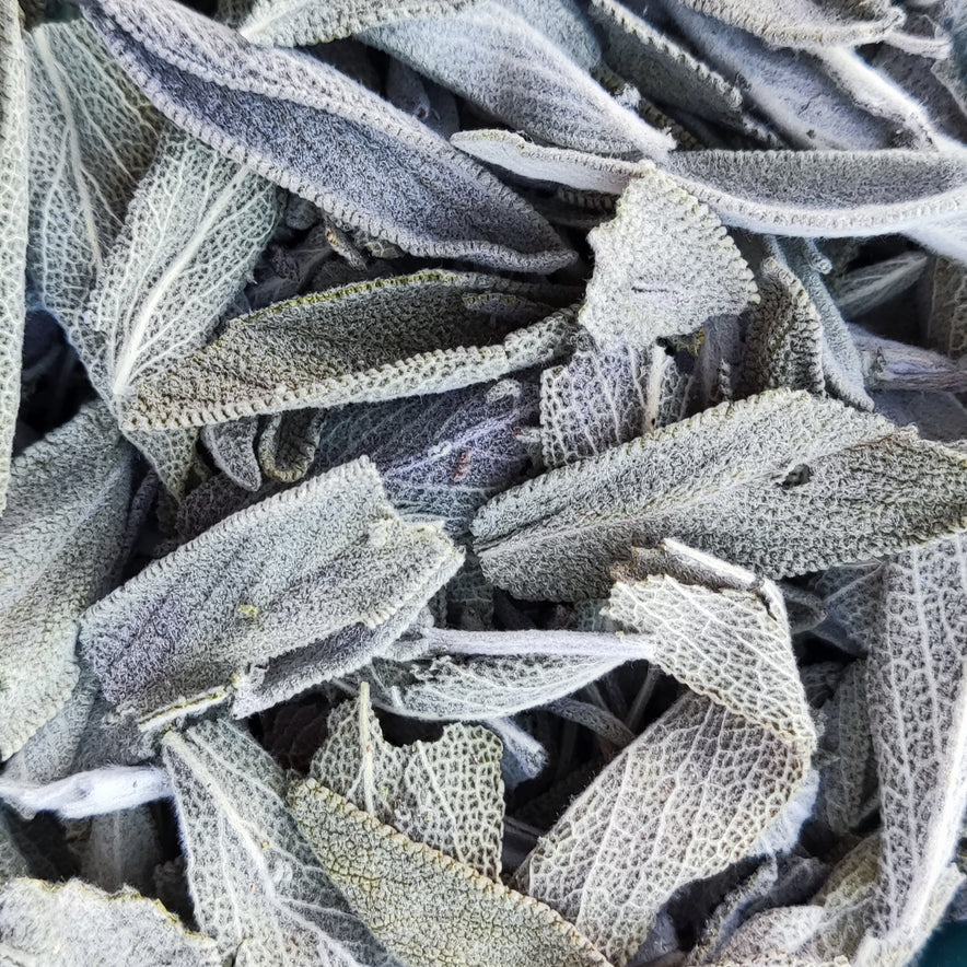 Image for Φασκόμηλο (Salvia Officinalis) | Οργανικός