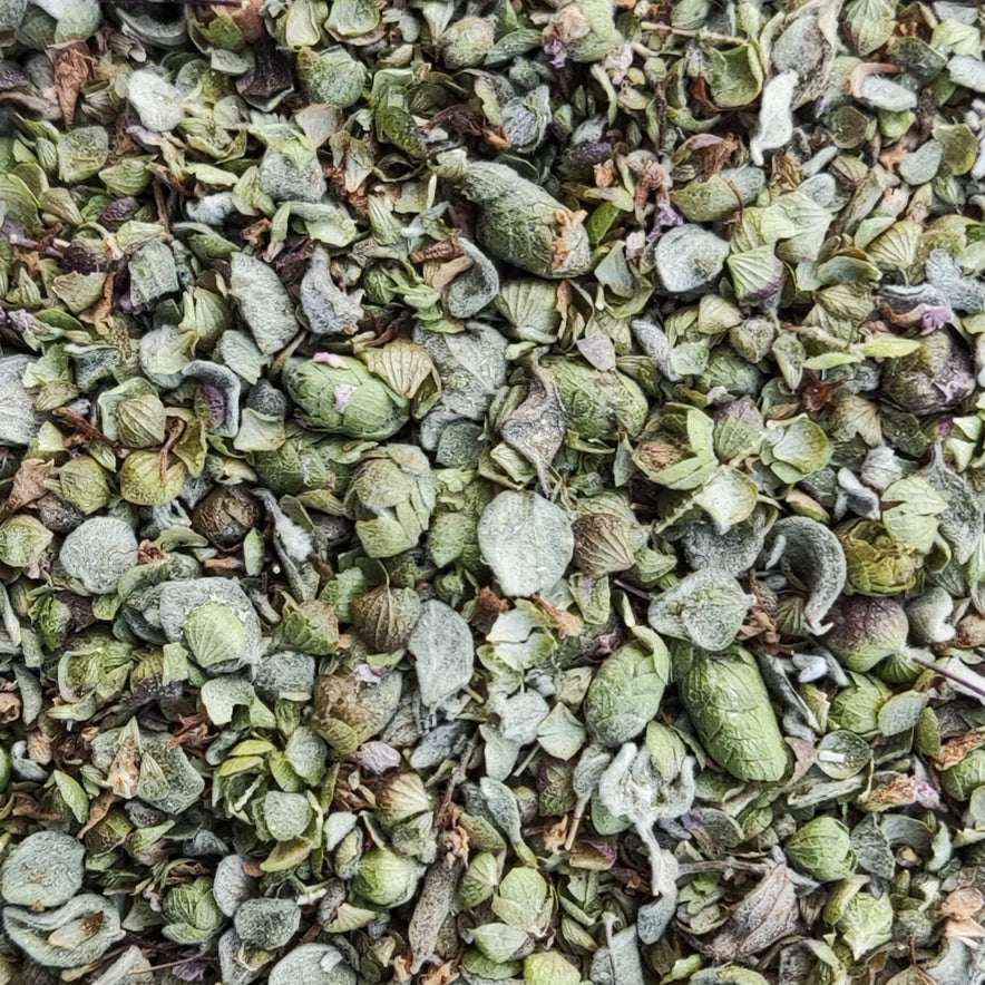 Image for Cretan Marjoram | Organic (Origanum Majorana)