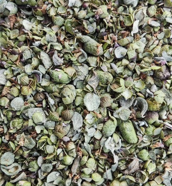 Cretan Marjoram | Organic (Origanum Majorana)