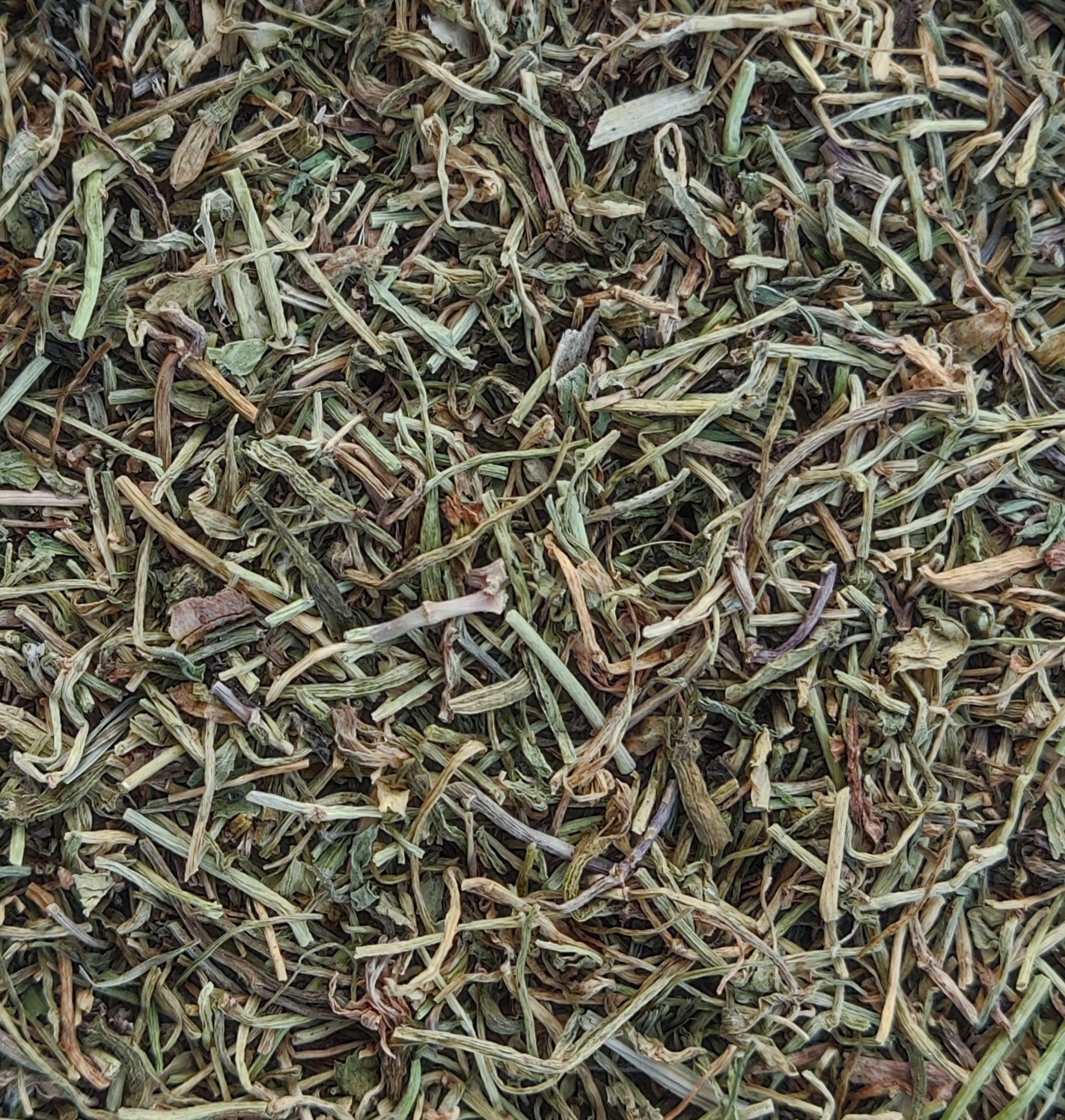 Tabac indien (Lobelia Inflata)