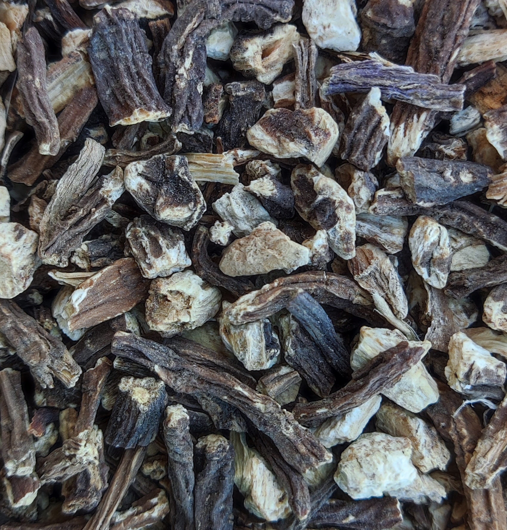 Angelica Root (Archangelica Officinalis)