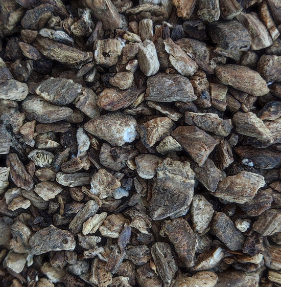 <transcy>Άρκτιο Λάππα Ρίζα (Arctium Lappa).</transcy>