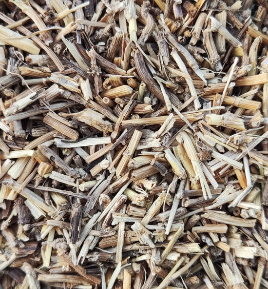 Quecke (Agropyron repens)