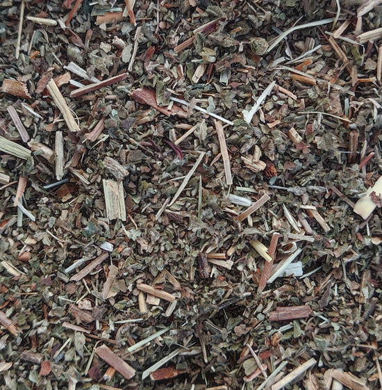 Odermennig (Agrimonia Eupatoria)