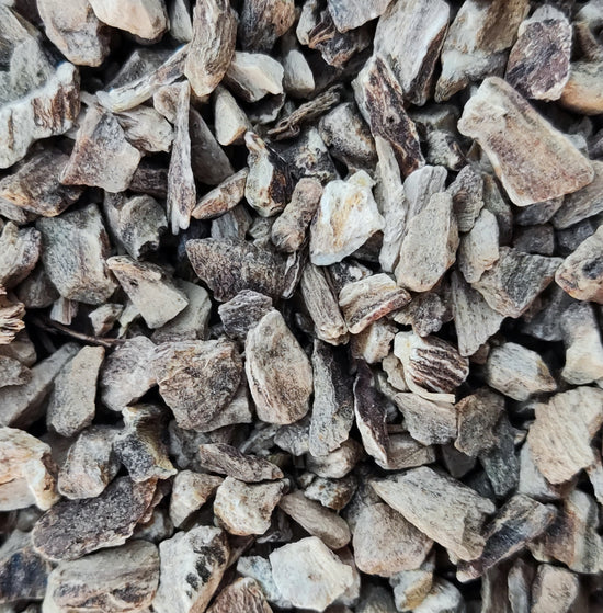 <transcy>Ινούλα Ρίζα (Inula Helenium)</transcy>