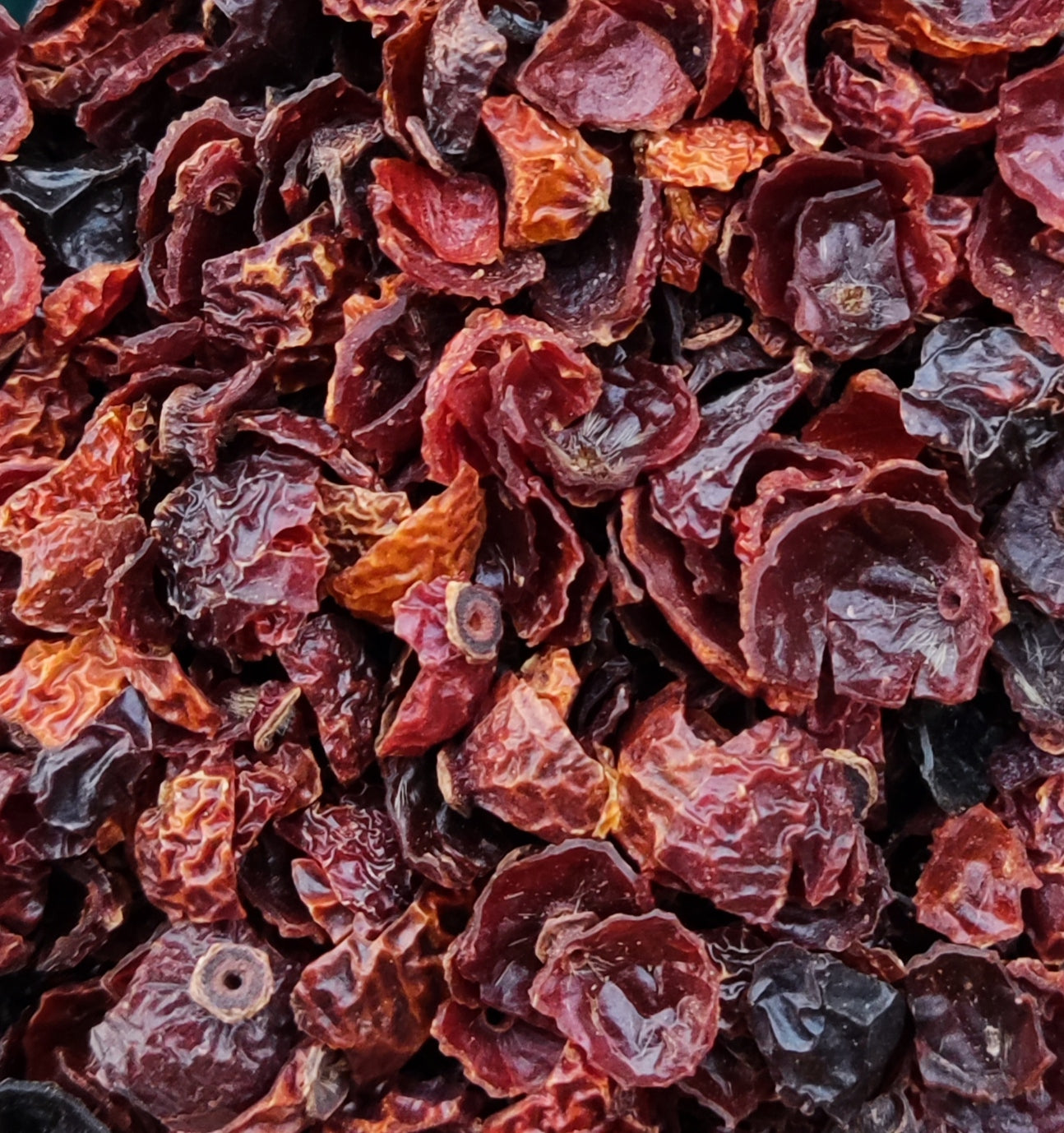 Rosehip Cut & sans pépins (Rosa Canina) ι bio