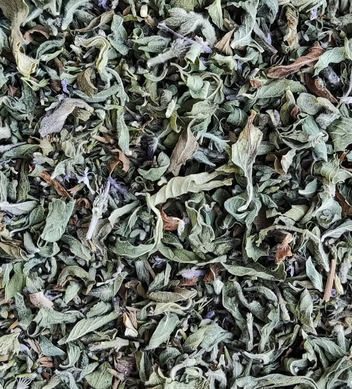 Pennyroyal Mint | Organic (Mentha Pulegium)