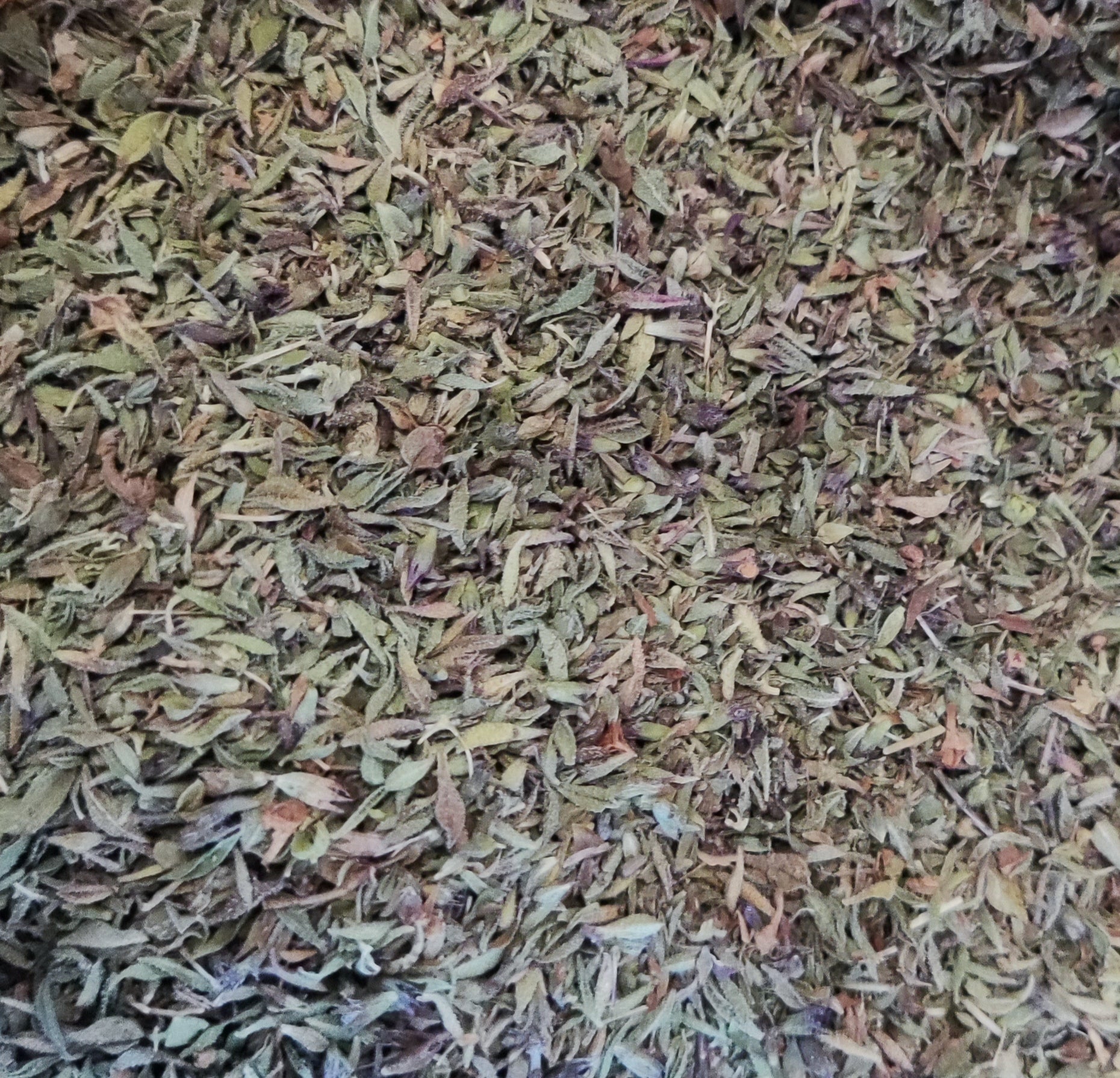 <transcy>Κρητικό Θρούμπι (Satureja Thymbra)</transcy>