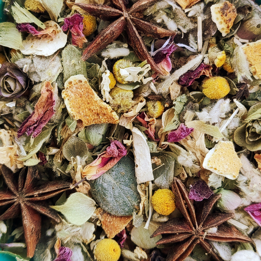 Image for Mélange de plantes 