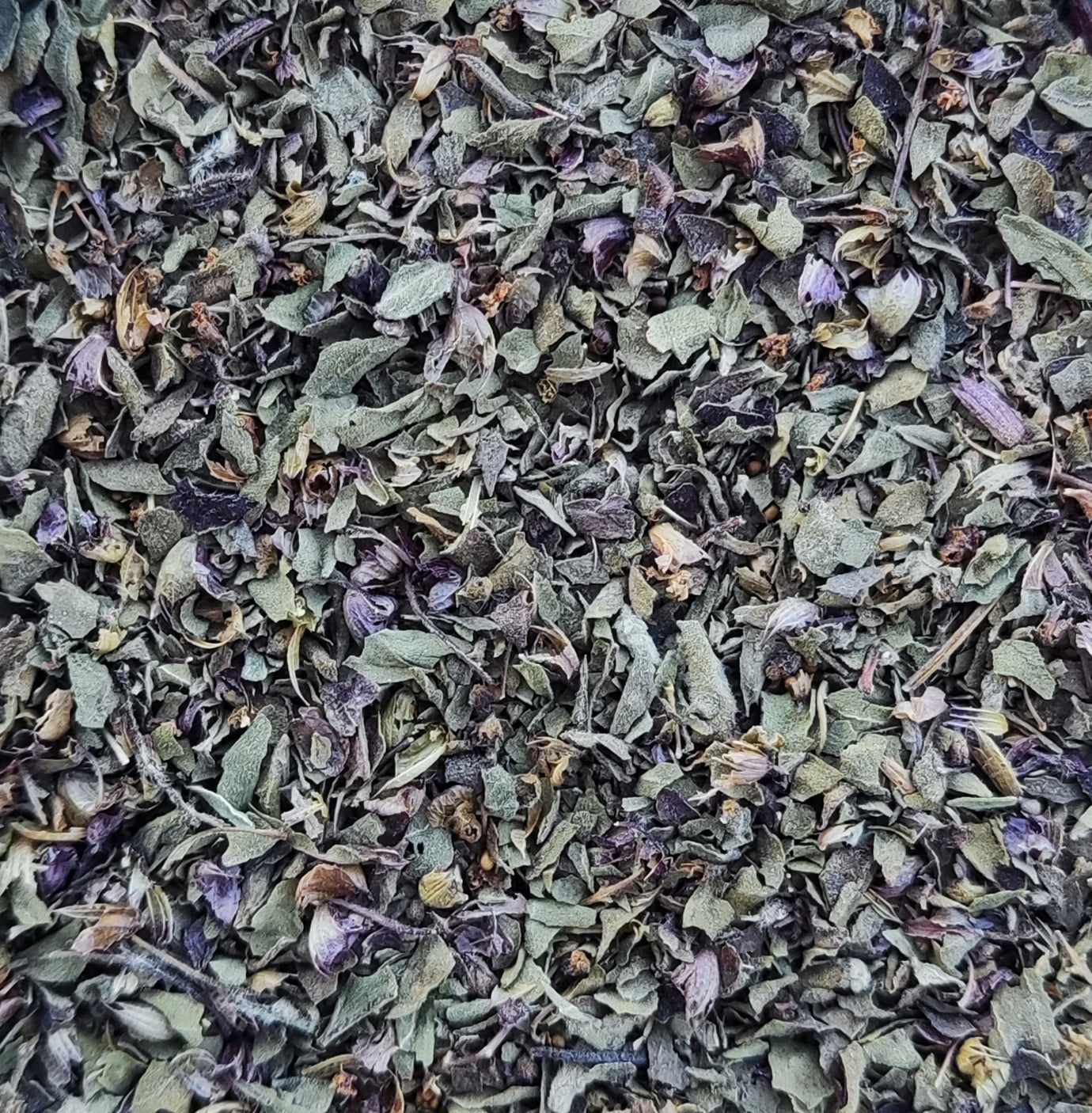 "Krishna" Tulsi/Άγιος Βασίλειος | Η βιοδυναμική μας καλλιέργεια (Ocimum Tenuiflorum)