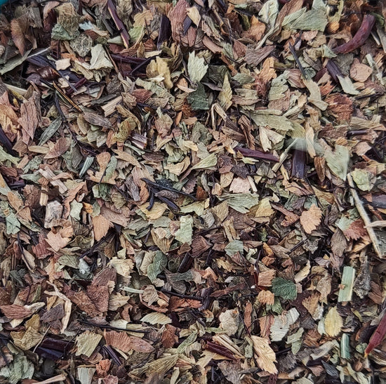 Frauenhaarfarn (Adiantum Capillus-Veneris)