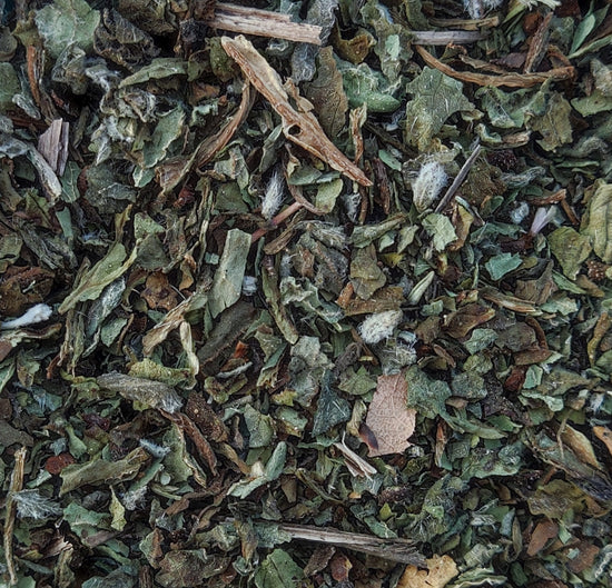 Borretsch (Borago officinalis)