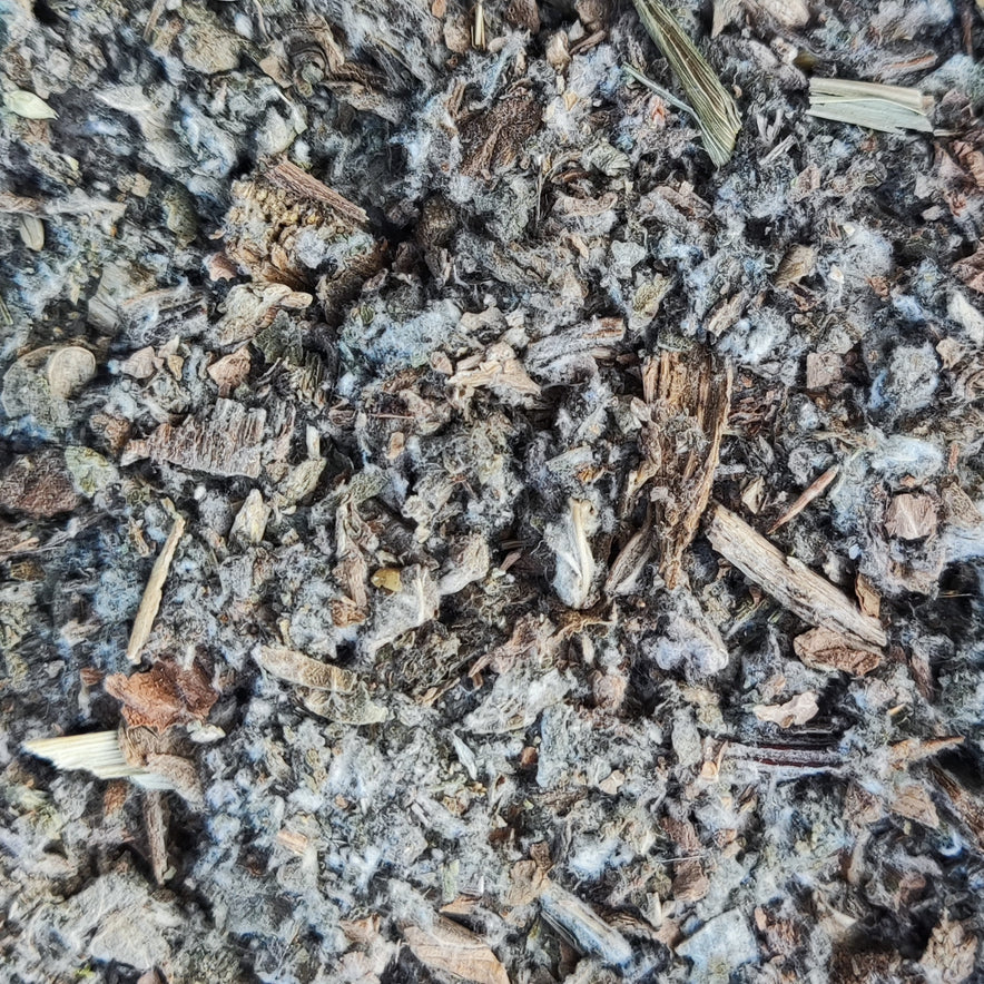 Image for Artischocke (Cynara Cardunculus)