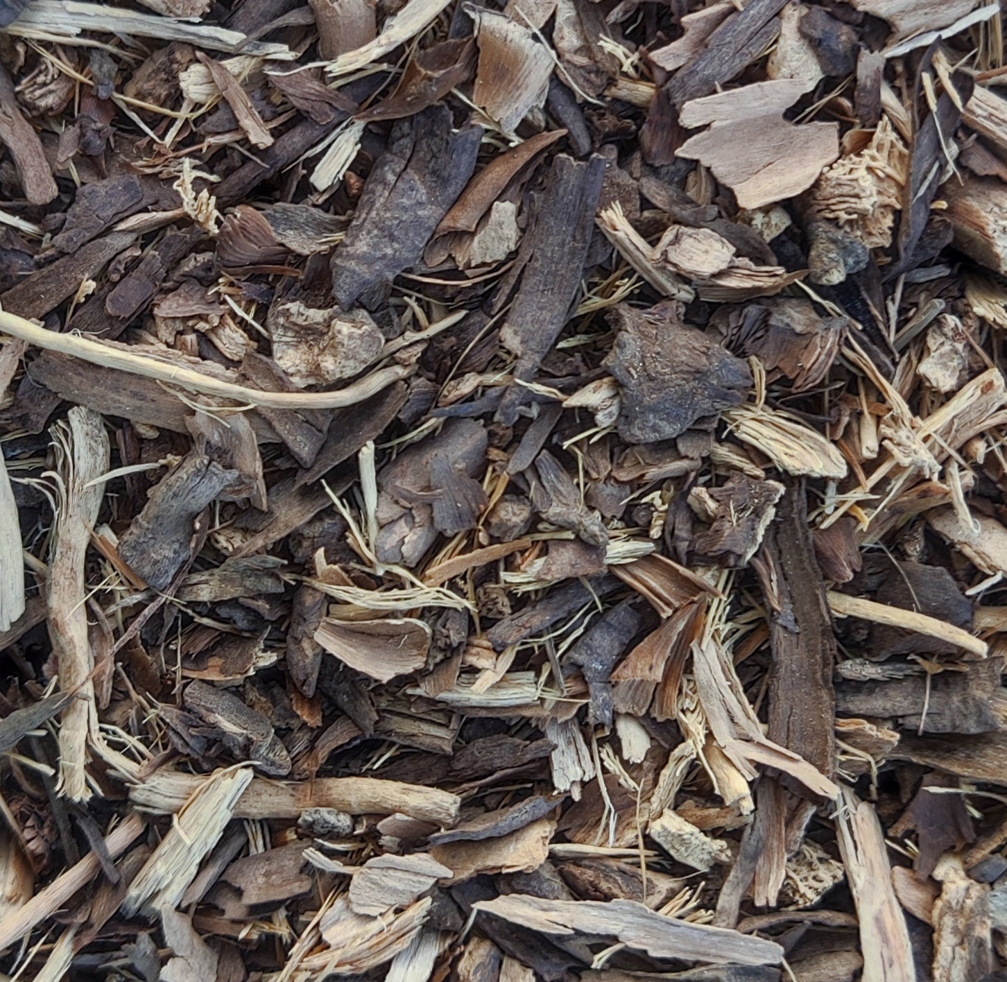 <transcy>Σπαράγγι Ρίζα (Asparagus Officinalis)</transcy>