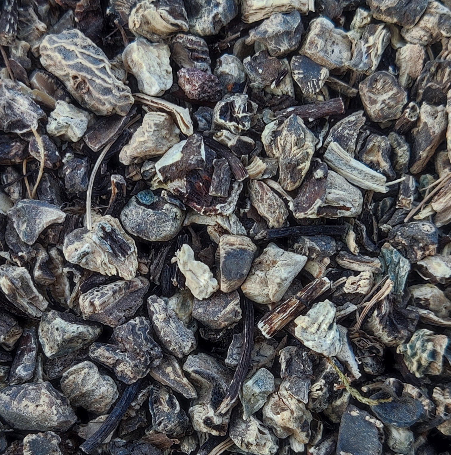 <transcy>Τσιμισιφούγκα Ρίζα (Cimicifuga Racemosa / Actaea Racemosa)</transcy>